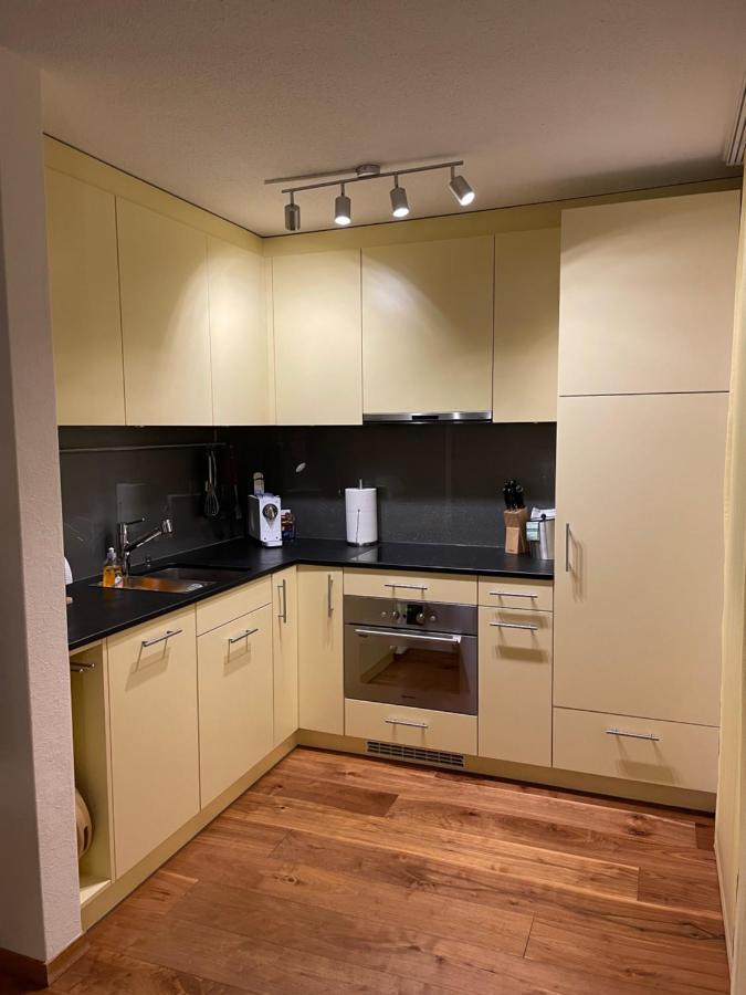Ferienwohnung Efibach 41 Silenen Eksteriør bilde